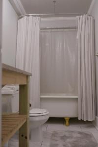 拉斐特Clinton House - Master的一间带卫生间和淋浴帘的浴室