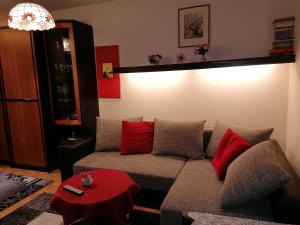 索内纳尔佩·纳斯费尔德纳斯费尔德颂雅公寓的客厅配有红色枕头的沙发