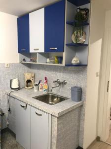 普列文Cozy loft apartment的厨房柜台配有水槽和蓝色橱柜