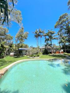 拜伦湾Sunrise Guesthouse的棕榈树庭院里的一个大型游泳池