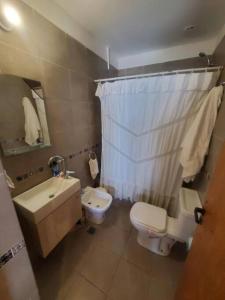 圣罗莎Departamento céntrico amplio con garage automatizado 24 Hs的浴室配有卫生间、盥洗盆和淋浴。