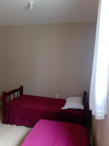 加拉尼温斯Apê perto do Parque Euclides Dourado的配有粉红色床单和窗户的客房内的两张床