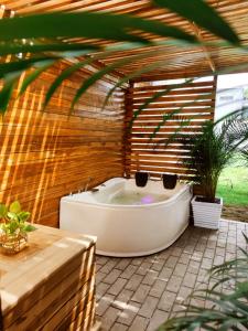 蒙波斯LITERATIUM的种植了盆栽植物的凉棚内的浴缸