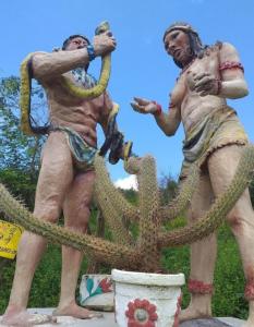 MeruocaMirante toca da raposa的两个男人站在仙人掌旁的雕像