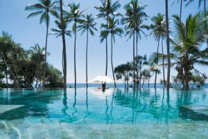 韦利格默Eraeliya Villas & Gardens的一个带棕榈树和遮阳伞的无边泳池