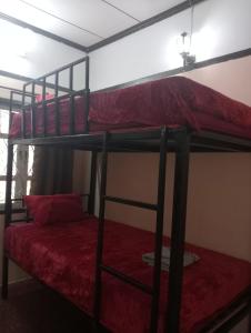 巴色Bolaven trail guesthouse的一间卧室配有两张双层床,铺有红色床单