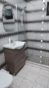 波亚纳默鲁卢伊CASA RAUL的带淋浴、盥洗盆和卫生间的浴室