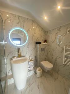 奥托佩尼Ami Residence Bucharest Airport&Therme&Parking的一间带水槽、卫生间和镜子的浴室