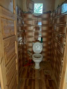 锡瓦M Biama Island的小型浴室设有卫生间和木墙