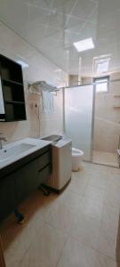 南迪Ocean Breeze Apartment的一间带水槽和卫生间的浴室