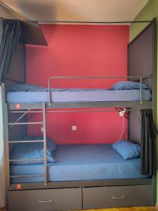 普里什蒂纳Prishtina Center Hostel的红色墙壁的客房内设有两张双层床。