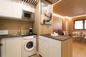 维耶拉Apartamento Hartza的厨房配有洗衣机和水槽