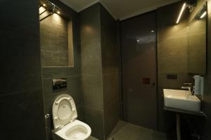 赖布尔HOTEL LAKSH的一间带卫生间和水槽的浴室