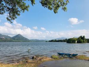 达瓦拉维Peacock Riverside Eco Lodge的两艘船坐在湖岸边