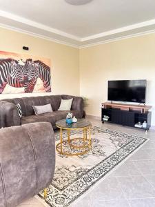 基塔莱Luxurious 2 bedroom penthouse-Fully Furnished的带沙发和平面电视的客厅