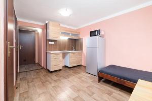卢捷纳普德克利诺夫琴Apartmány Klínovec - Penzion Jonas的一间小型客房,配有冰箱和厨房