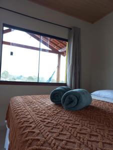 伊比科阿拉Recanto Cachoeiras de Ibicoara的一间卧室配有一张带两个枕头的床