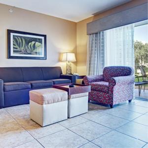 奥兰多埃克斯瑞度假胜地夏日海湾奥兰多酒店的客厅配有沙发和椅子