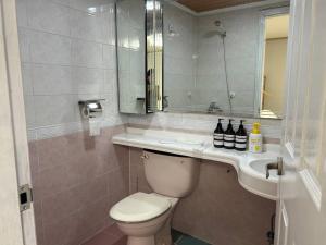 首尔Haru Airport Stay Gimpo的一间带卫生间、水槽和镜子的浴室