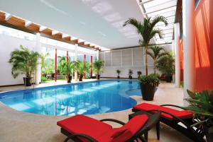 韦拉克鲁斯韦拉克鲁斯安坡里奥酒店的一座游泳池,里面设有红色椅子和棕榈树