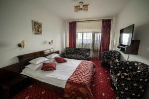 兰卡Pension Valea Mariei的一间卧室配有一张床、一张沙发和一台电视