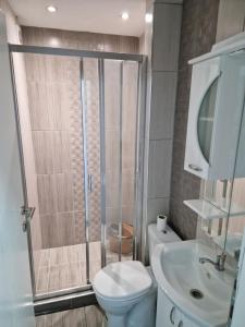 库马诺沃City Square Apartment的带淋浴、卫生间和盥洗盆的浴室