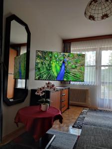 索内纳尔佩·纳斯费尔德纳斯费尔德颂雅公寓的客厅配有壁挂式大屏幕平面电视