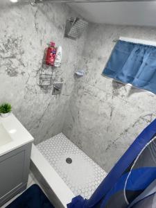 ElmontA unique beautiful home的一间带蓝色淋浴帘的淋浴的浴室