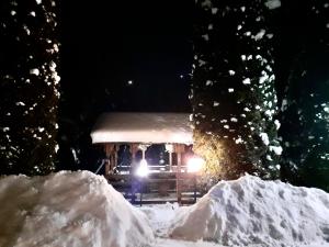 博尔沙Casa din livada的一辆在晚上被雪覆盖的食物车