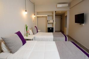 布宜诺斯艾利斯M Concept Hotel的一间酒店客房,设有两张床和电视