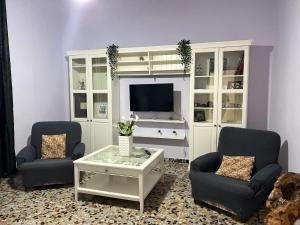 佛罗伦萨L'Oasi del Cervo的客厅配有两把椅子和电视