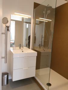 韦尔维耶Le Chateau Blanc的带淋浴、盥洗盆和镜子的浴室