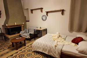 阿姆菲克利亚Ορεινό καταφύγιο Παρνασσού的卧室配有一张床,墙上挂着一个钟