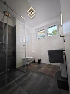 维也纳Bella's Appartment - Beautiful, modern and next to metro的一间带玻璃淋浴和卫生间的浴室