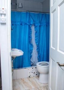 Arnos ValePRI Studio Apartment的浴室配有蓝色的浴帘和卫生间