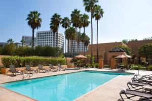 尔湾欧文约翰韦恩机场奥兰治县万怡酒店的一个带躺椅的游泳池,棕榈树