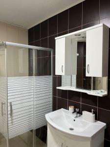 比托拉Luxury apartment的一间带水槽、淋浴和镜子的浴室