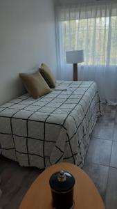 内乌肯DEPARTAMENTO AMOBLADO NEUQUEN 2的一间卧室配有一张带桌子和台灯的床
