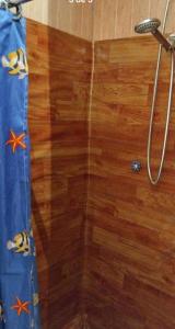 柯纳里佩Suite doble Coñaripe的铺有木地板的淋浴和浴帘