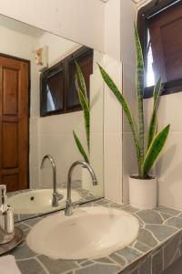 拜县Betel Palm Village - Casa Retreat的一个带水槽和植物的浴室台面