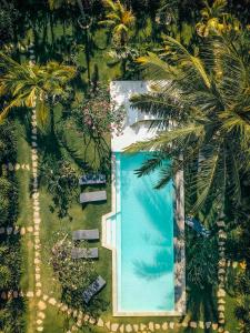 龙目岛库塔Reset Lombok Hotel的享有棕榈树游泳池的顶部景致