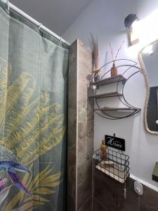 TÄƒuÅ£ii MÄƒgheruÅŸRustic house的带淋浴和浴帘的浴室