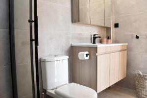 爱琴娜岛Polles Εlies Cozy Αpartment的一间带卫生间、水槽和镜子的浴室