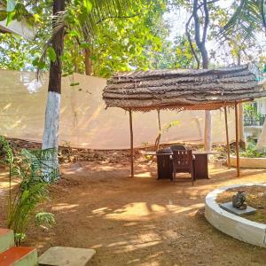 卡纳科纳Anika homes的棕榈树旁的小屋,配有桌子和椅子