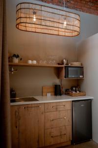 克拉伦斯Andes Clarens Guesthouse的厨房配有水槽和微波炉
