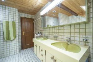施库尔Chasa Rontsch Madlaina的浴室设有2个水槽和镜子