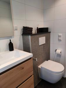 比塞尔Vakantiewoningen Eyveld的浴室配有白色水槽和卫生间。