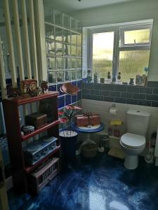 ManstonCedar Top的一间带卫生间的浴室,铺有蓝色地板。