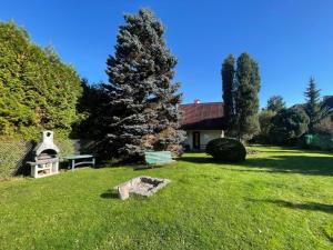 Planá nad LužnicíHoliday Home Zhorska by Interhome的草地上种着树和烤架的院子