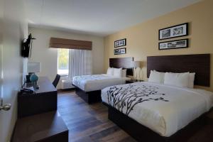 巴拿马城海滩巴拿马城海滩司丽普旅馆及套房的酒店客房设有两张床和窗户。